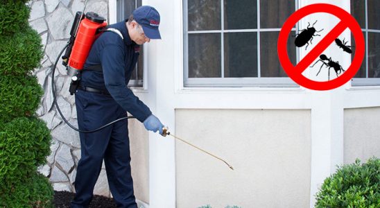 Susurluk Böcek İlaçlama böcek ilaçlama ve haşere kontrolü — ilaclama-tr.com